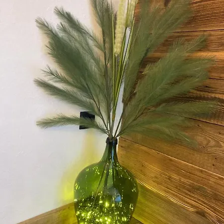 Διαμέρισμα Haus Angermann Mallnitz