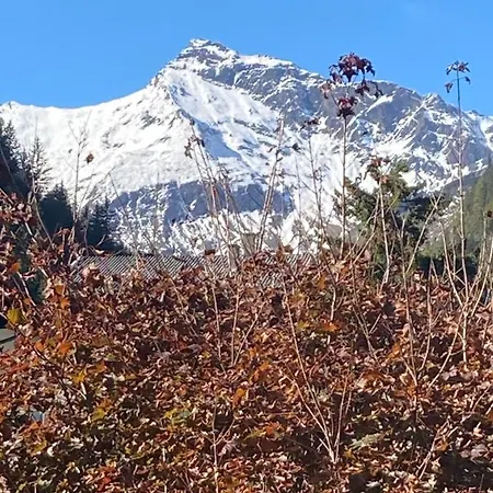 Διαμέρισμα Haus Angermann Mallnitz