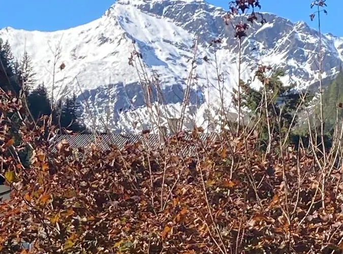 Apartment Haus Angermann Mallnitz